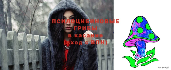 a pvp Медногорск