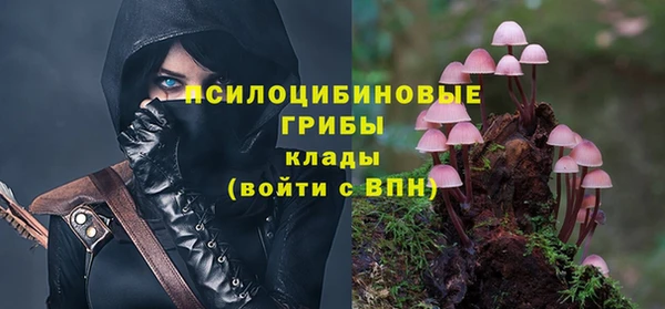a pvp Медногорск