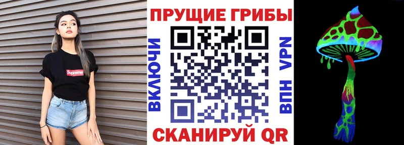 Купить  Хотьково  Псилоцибиновые грибы Cubensis 